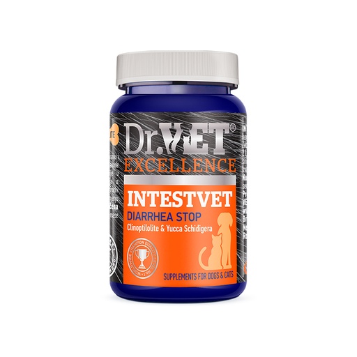 Dr.Vet IntestVet